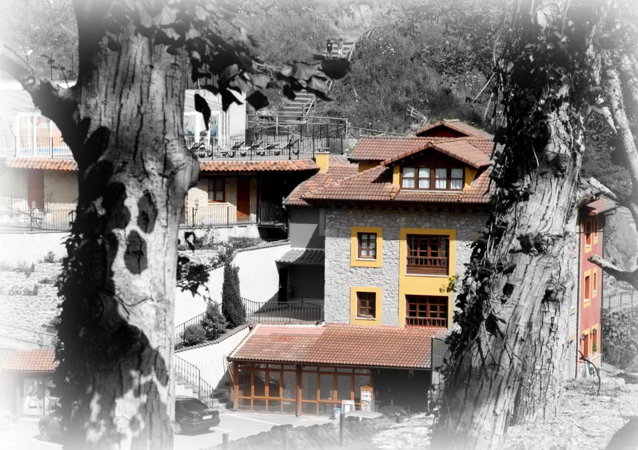 Hotel Puente Vidosa Amieva المظهر الخارجي الصورة